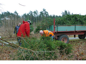 Es weihnachtet in St. Crescentius (© Karl-Franz Thiede)